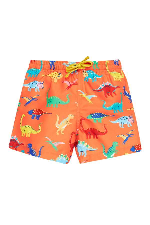 Boscastle Board Shorts, Salamander Dino Roar